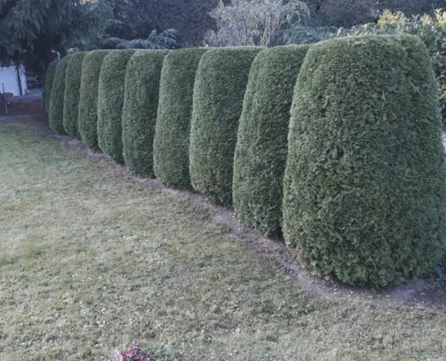 Bio-Bauernhof und Gartenpflege, Rudolf Schneider Bio-Bauernhof und Gartenpflege, Rudolf Schneider