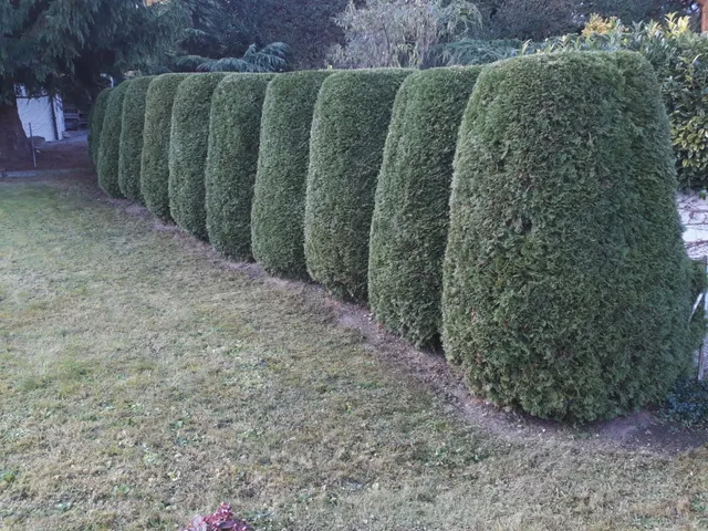 Bio-Bauernhof und Gartenpflege, Rudolf Schneider Bio-Bauernhof und Gartenpflege, Rudolf Schneider