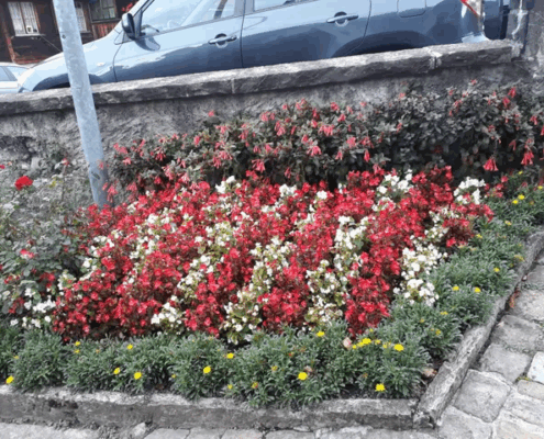 Bio-Bauernhof und Gartenpflege, Rudolf Schneider Bio-Bauernhof und Gartenpflege, Rudolf Schneider