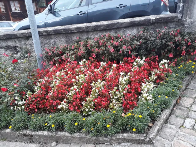 Bio-Bauernhof und Gartenpflege, Rudolf Schneider Bio-Bauernhof und Gartenpflege, Rudolf Schneider