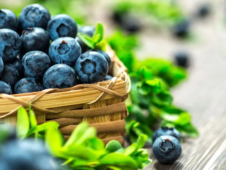 Bio-Bauernhof und Gartenpflege, Rudolf Schneider