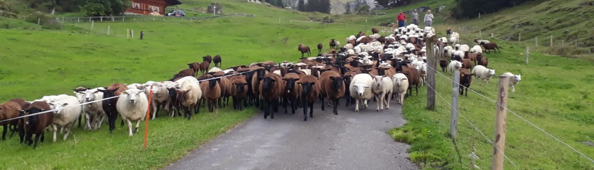 Bio-Bauernhof und Gartenpflege, Rudolf Schneider